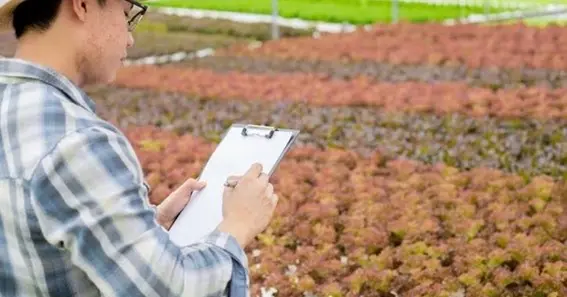 Types Of Farm Records